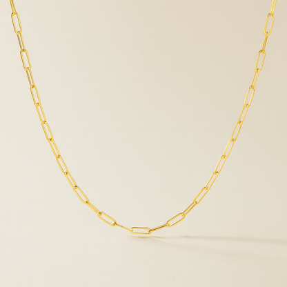 Maui Paperclip Necklace (Bundle)