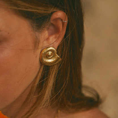 Chunky Shell Earrings (Bundle)